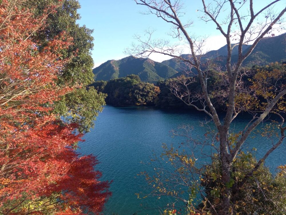 丸山公園　